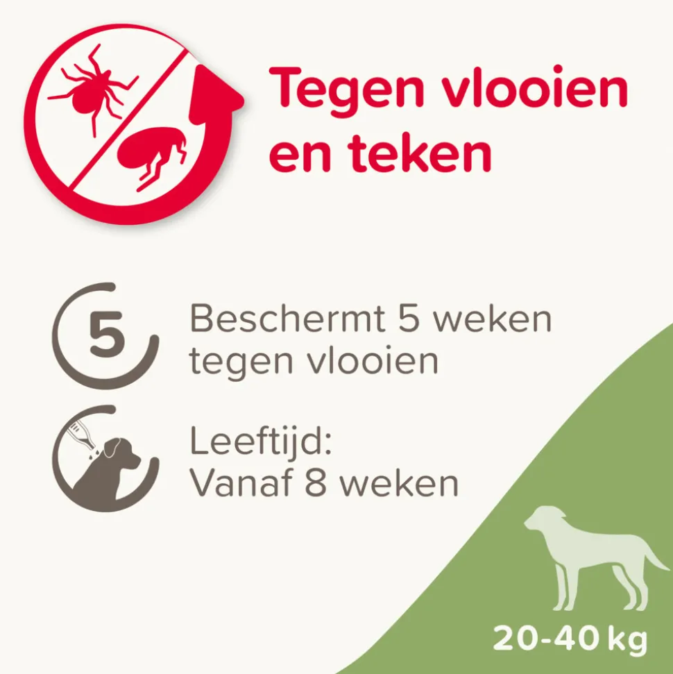 Beaphar Fiprotec Anti Teken- en Vlooiendruppels Hond 20 - 40 kg 4 stuks