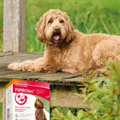 Beaphar Fiprotec Anti Teken- en Vlooiendruppels Hond 20 - 40 kg 4 stuks