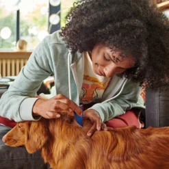 Beaphar Fiprotec Anti Teken- en Vlooiendruppels Hond 2 - 10 kg 4 stuks