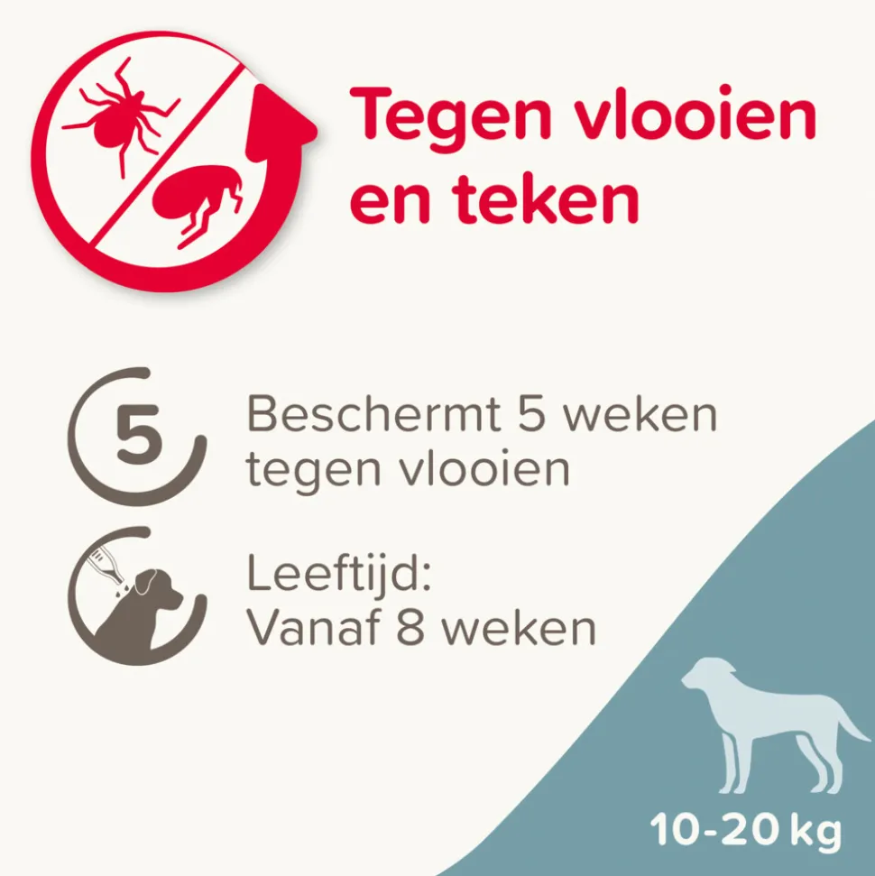 Beaphar Fiprotec Anti Teken- en Vlooiendruppels Hond 10 - 20 kg 4 stuks