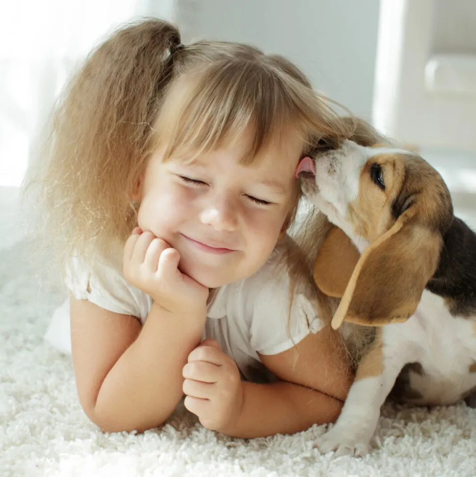 Beaphar Fiprotec Anti Vlooien en Teken Spray Hond en Kat 100 ml