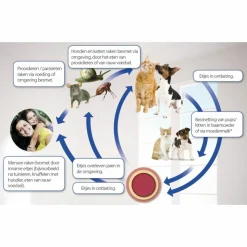 Beaphar Milquestra Ontworming Tabletten Hond 5 - 50 kg 2 tabletten