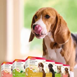 Beaphar Schapenvet Bonbons Mini Knoflook 245 gr