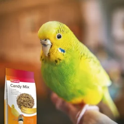 Beaphar Snoepzaad Snoepzaad 150 gr