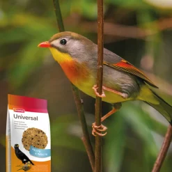 Beaphar Universeelvoer 10 kg