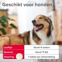 Beaphar Vlo Kill Anti Vlooien Tabletten Hond 11 - 57 kg 6 tabletten