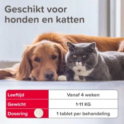 Beaphar Vlo Kill Anti Vlooien Tabletten Hond/Kat 1 -11 kg 6 tabletten