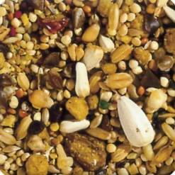 Beaphar XtraVital Grote Parkiet 500 gr