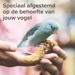 Beaphar XtraVital Kanarie 500 gr