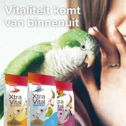 Beaphar XtraVital Kanarie 500 gr