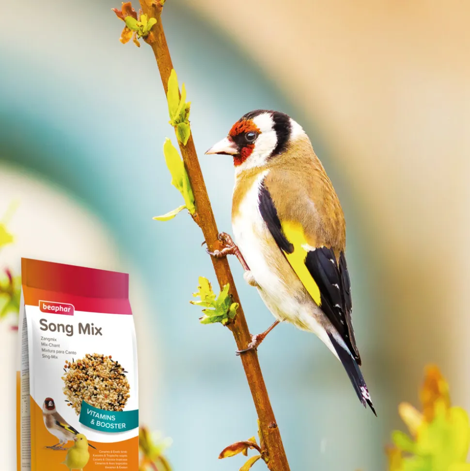 Beaphar Zangmix 150 gr