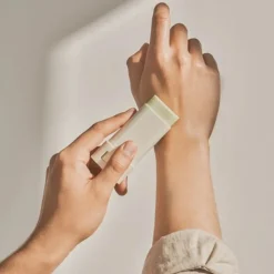 Beauty of Joseon Sun stick Mugwort + Camilia SPF50+ 18 gr