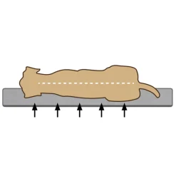 Beeztees Orthopedisch Ligbed Uma Bruin 80 x 60 cm