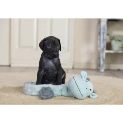 Beeztees Pup Flatino Draak Yi Groen