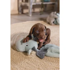 Beeztees Pup Flatino Draak Yi Groen