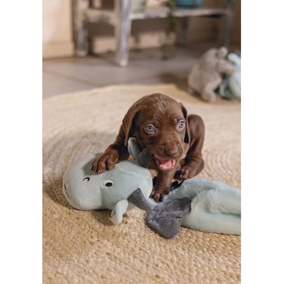 Beeztees Pup Flatino Draak Yi Groen