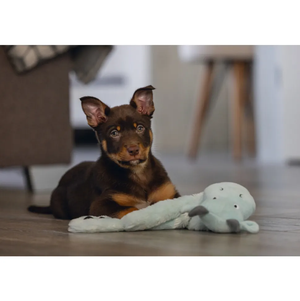 Beeztees Pup Flatino Draak Yi Groen