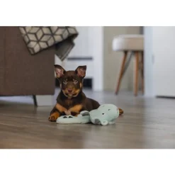 Beeztees Pup Flatino Draak Yi Groen