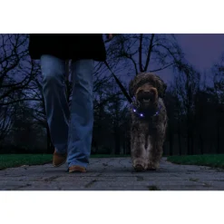 Beeztees Safety Gear Halsband +USB Dogini Blauw 70 x 10 cm