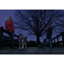 Beeztees Safety Gear Halsband +USB Dogini Blauw 70 x 10 cm