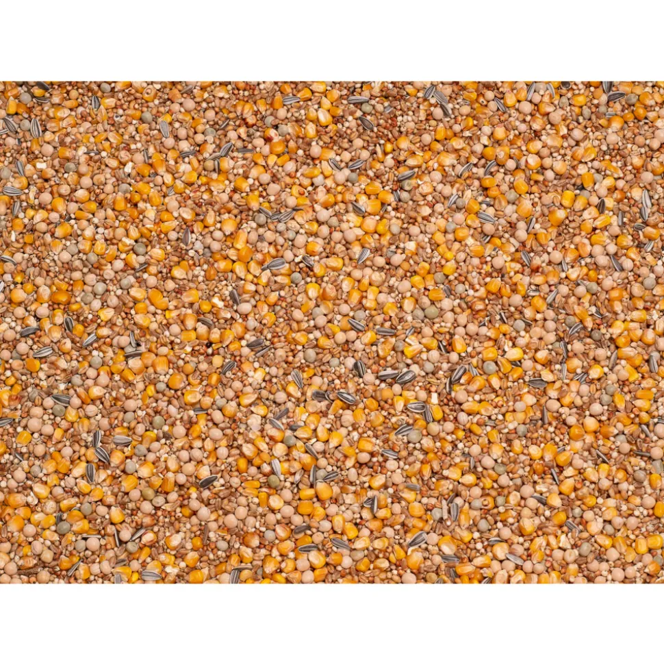 Beyers Basic Racing 25 kg