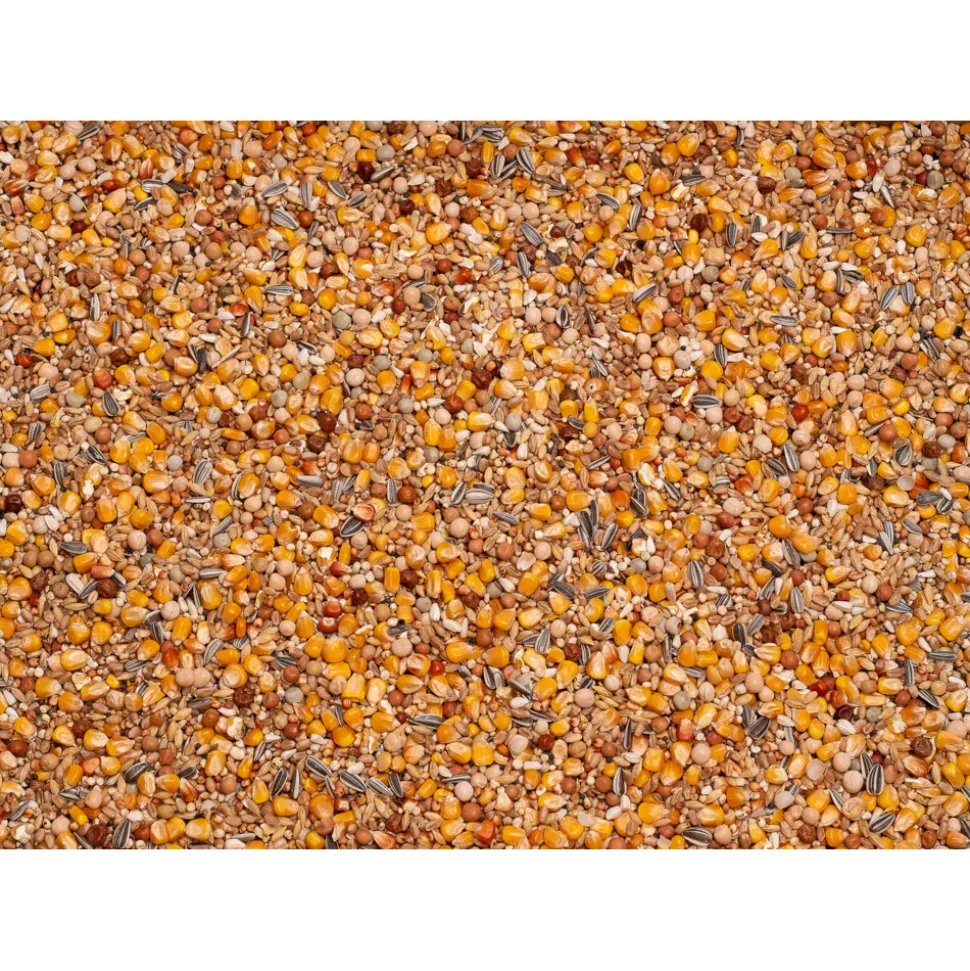 Beyers Basic Rui 25 kg