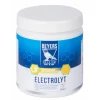 Beyers Elektrolyt 500 gr