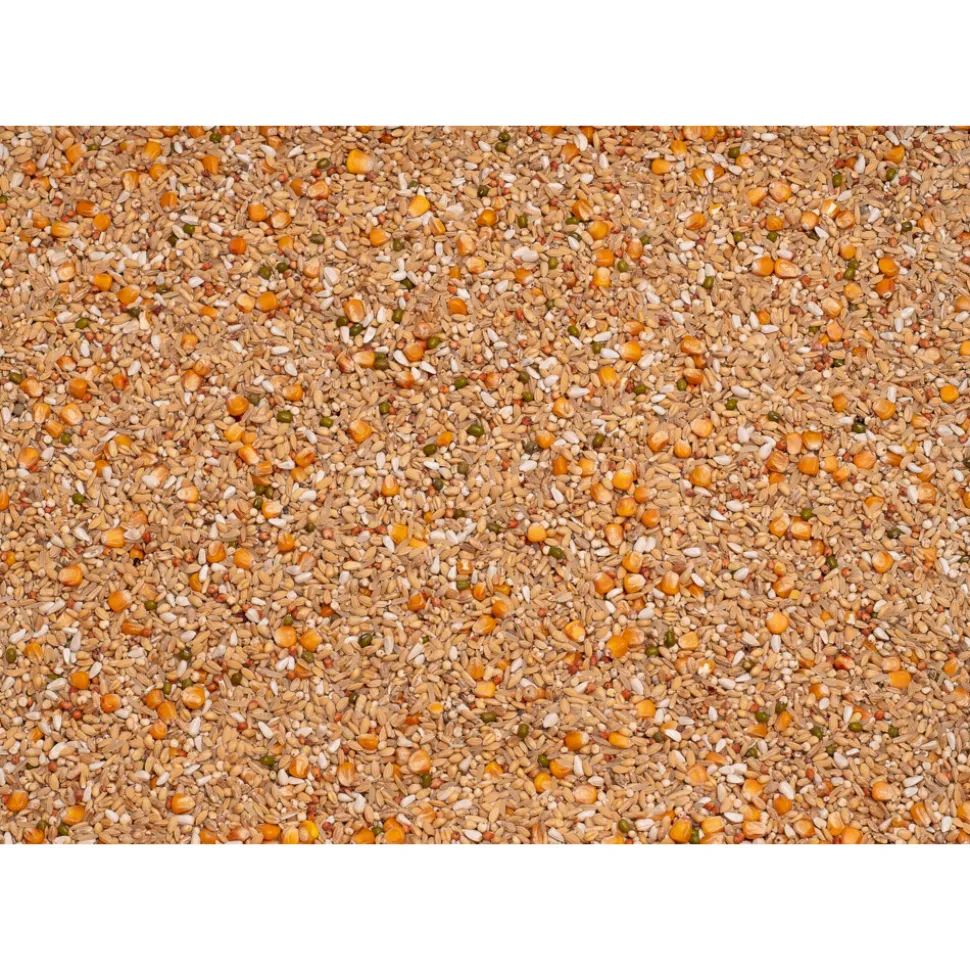 Beyers Enzymix 7/48 MS Recup 20 kg