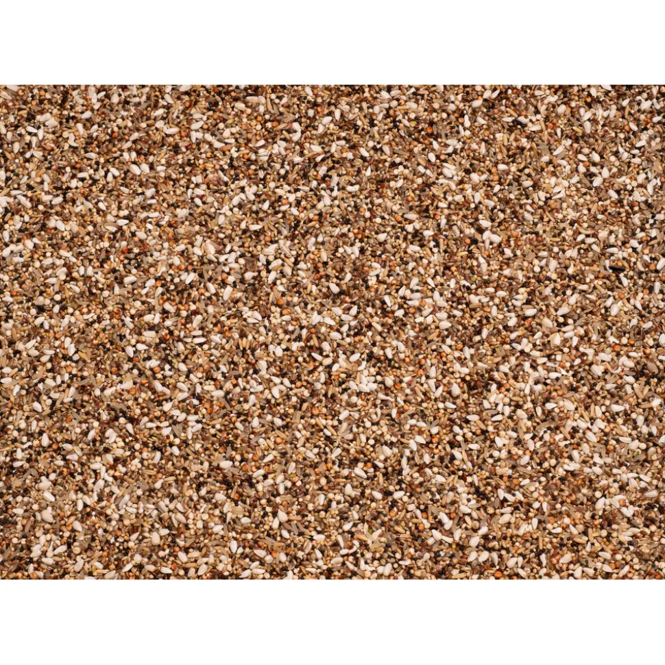 Beyers Enzymix 7/57 MS Snoepzaad Fijn 20 kg