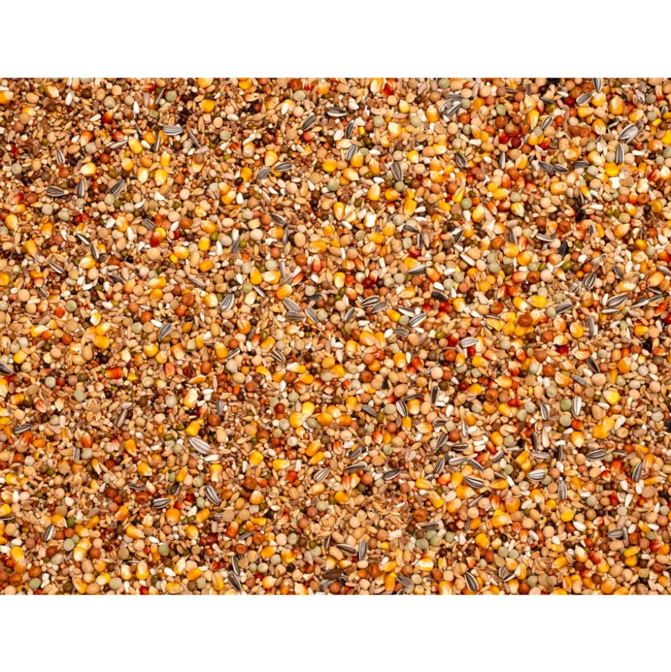 Beyers Olympia 52 - Kweek & Jonge Duif 20 kg