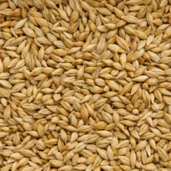 Beyers Original Duivergerst 20 kg