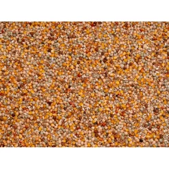 Beyers Original Kweek 25 kg