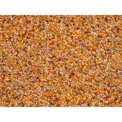 Beyers Original Sport 25 kg