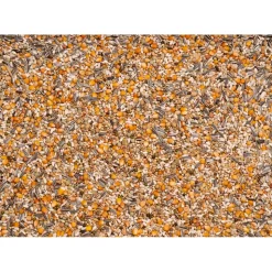 Beyers Premium Prange Grand Prix 25 kg