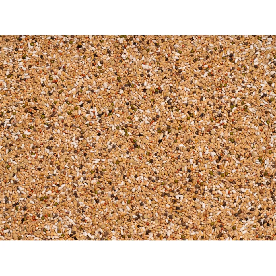 Beyers Premium Verkerk Light 20 kg