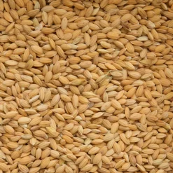 Beyers Rijst Paddy 20 kg