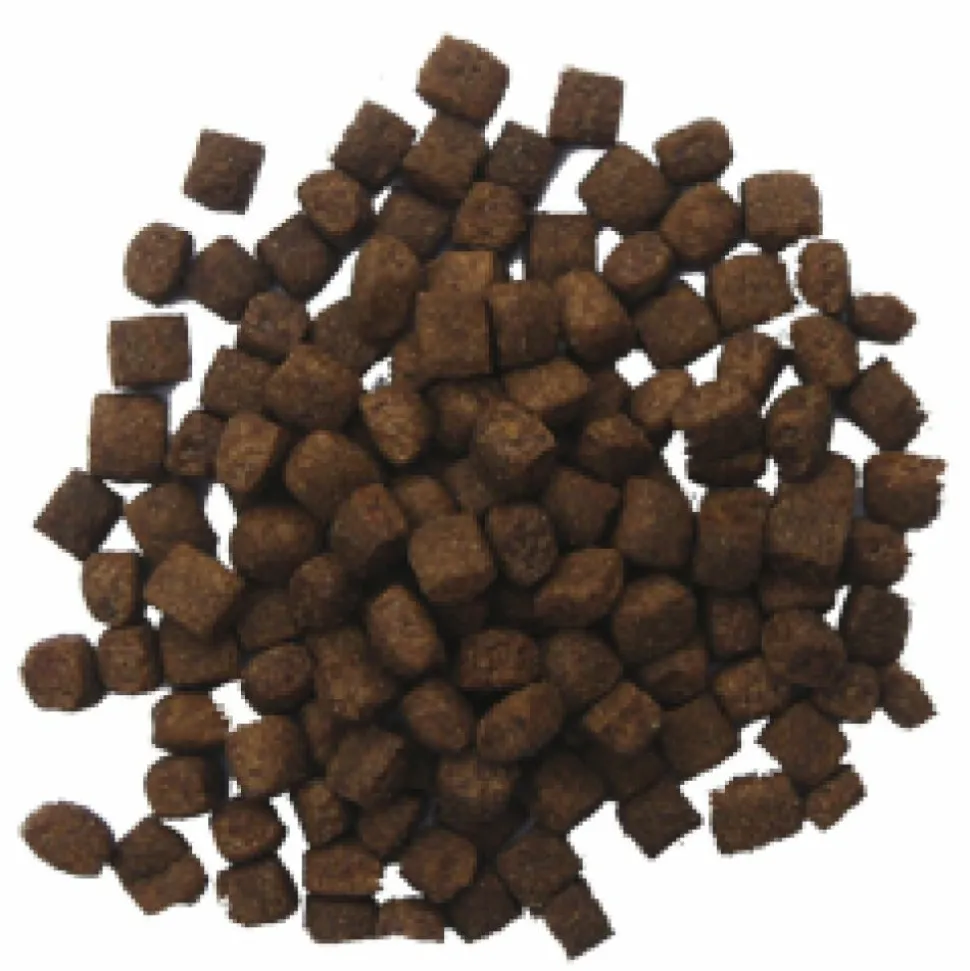 BF Petfood Lam en Rijst Hondenvoer Hondenvoer 12,5 kg