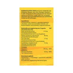 Bloem Echinacea 60 capsules