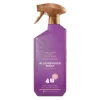 Bruynzeel CH Allesreinigerspray Fresh Wood 500 ml