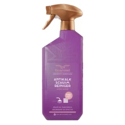 Bruynzeel CH Anti Kalkreiniger Fresh Wood 500 ml