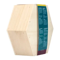 Bûten Home Insectenkast Hexagon Vlinder