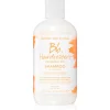 Bumble and Bumble Hairdresser's Invisible Oil Shampoo 250 ml