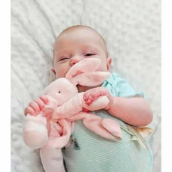 Bunnies By The Bay Speenknuffel Konijn Roze