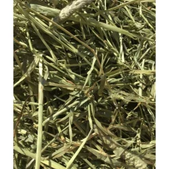 Bunny Nature Timothy Hooi 700 gr