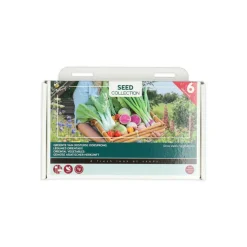 Buzzy Collection Kweekset 6 Groente Van Oosterse Oorsprong 1 set