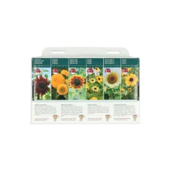 Buzzy Collection Kweekset 6 Stralende Zonnebloemen 1 set