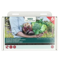 Buzzy Collection Kweekset 6 Zelfgekweekte Superfoods 1 set