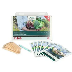 Buzzy Collection Kweekset 6 Zelfgekweekte Superfoods 1 set