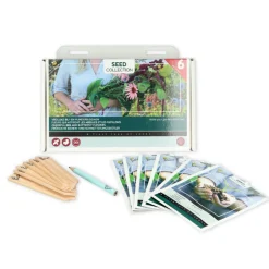 Buzzy Collection Kweekset 6 Vrolijke Bij- En Vlinderbloemen 1 set