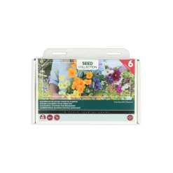 Buzzy Collection Kweekset 6 Kleurrijke Bloemen Voor De Starter 1 set